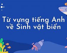 Sinh Vật Biển Trong Tiếng Anh