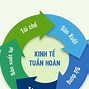 Thống Kê Số Lượng Doanh Nghiệp Tại Việt Nam